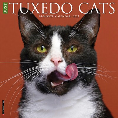 2025 Willow Creek Just Tuxedo Cats 12 x 12 Monthly Wall Calendar (45190)