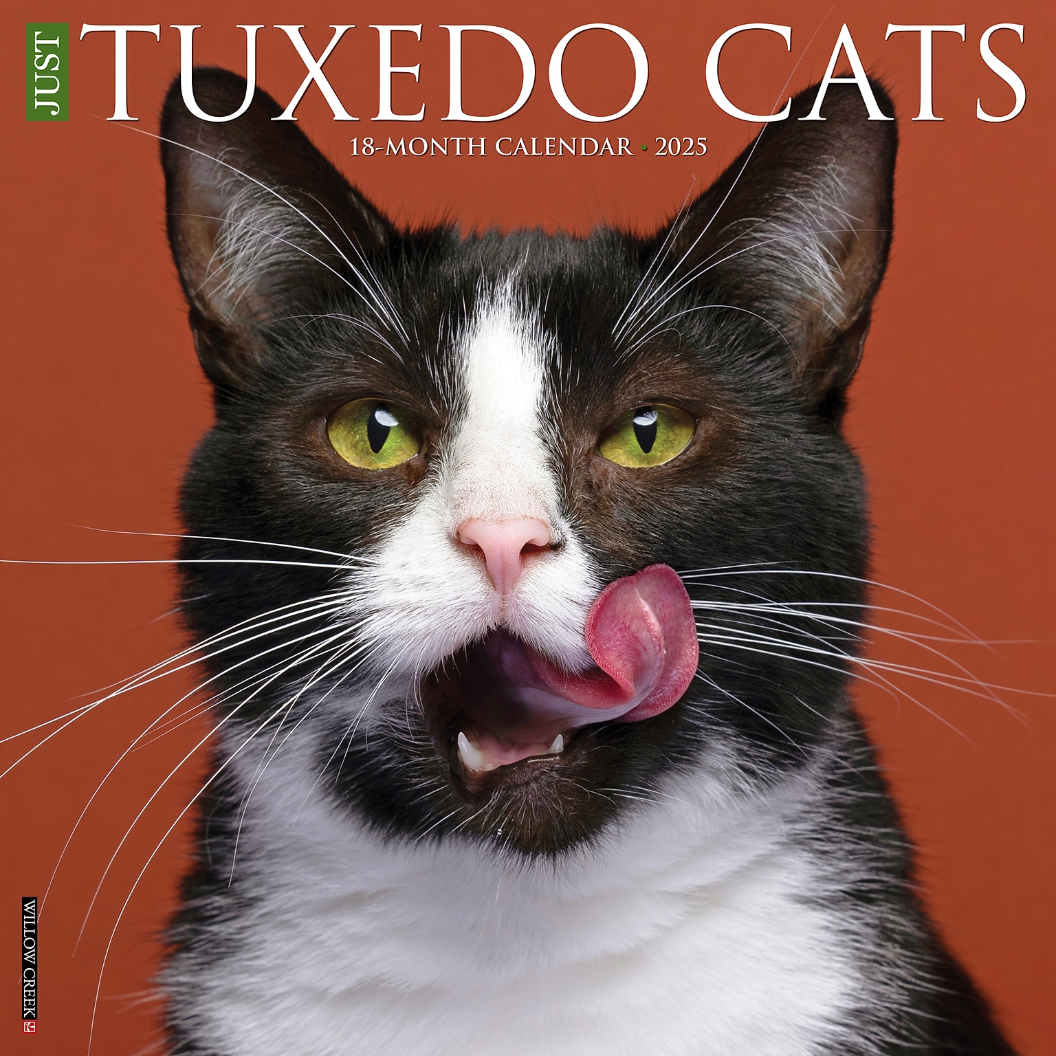 2025 Willow Creek Just Tuxedo Cats 12 x 12 Monthly Wall Calendar (45190)