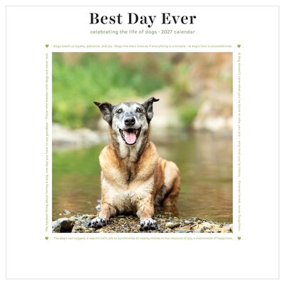 2027 TF Publishing Best Day Ever: Dogs 7 x 7 Monthly Wall Calendar, Multicolored (27-2008)