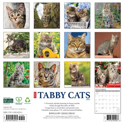 2027 Willow Creek Tabby Cats 12 x 12 Monthly Wall Calendar, Assorted Colors (62531)