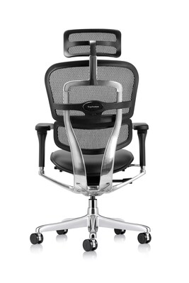 Eurotech Ergohuman Gen2 High Back Mesh Office Chair w/ Headrest, Black (LEM4ERG-GEN2)