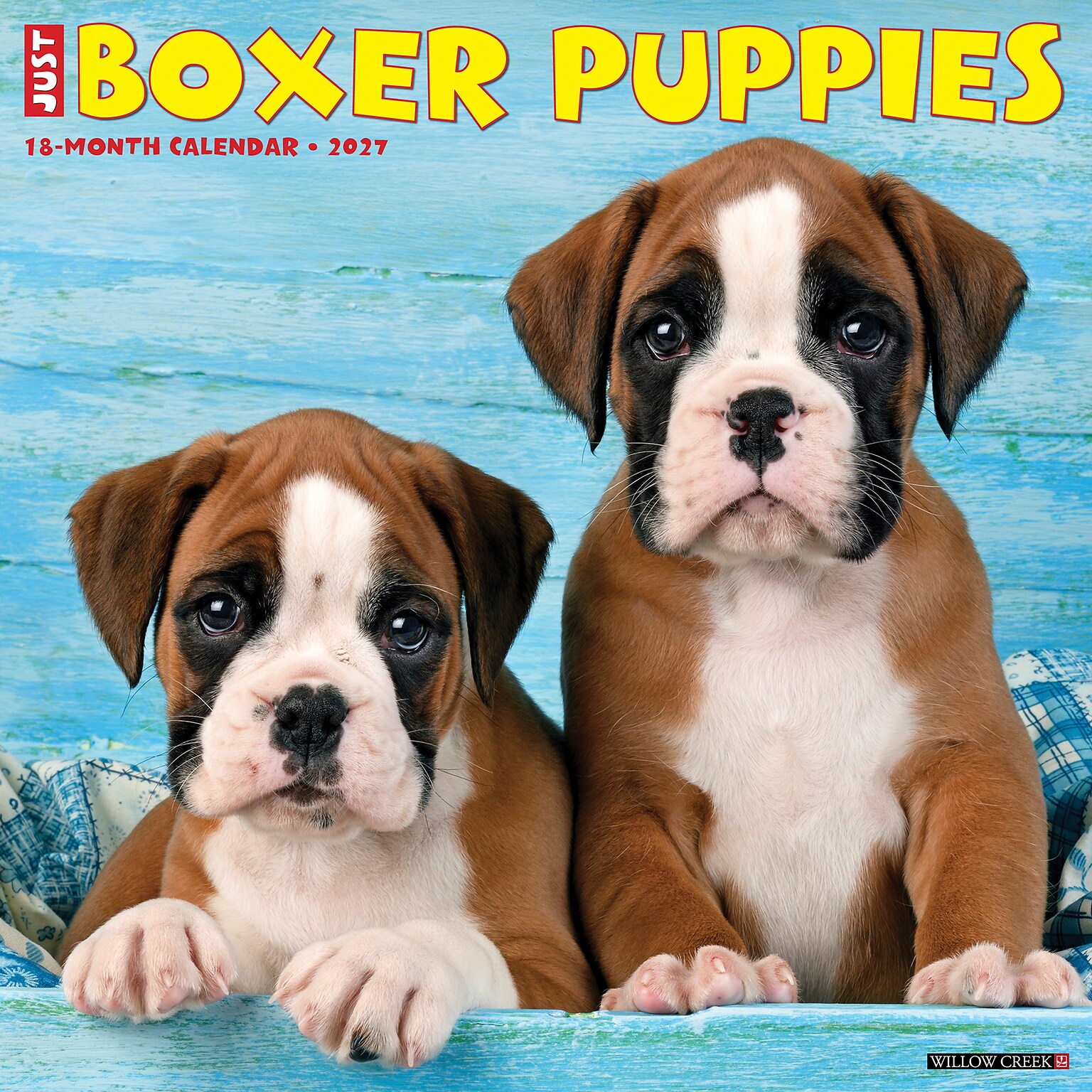 2027 Willow Creek Boxer Puppies 12 x 12 Monthly Wall Calendar, Assorted Colors (59319)