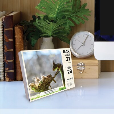 2027 Willow Creek Gettin' Squirrelly 5.4" x 6.2" Day-to-Day Calendar (63484)