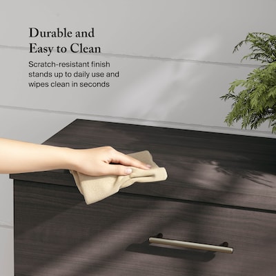 Bush Furniture Somerset 2-Drawer Lateral File Cabinet, 29" x 30", Letter/Legal, Storm Gray (WC81580)