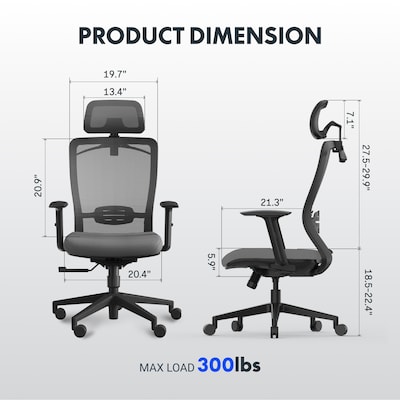 FlexiSpot Ergonomic Mesh Swivel Computer and Desk Chair, Gray (C3G-FM)