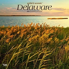 2024 BrownTrout Delaware Wild & Scenic 12 x 24 Monthly Wall Calendar (9781975462574)