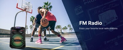 Emerson EDS-1200 Portable Bluetooth Party Speaker with Wireless Microphone, Black (EDS-1200)