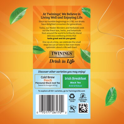 Twinings Iced Cold Brewed Mint Green Tea Bags, 20/Box (F07413)