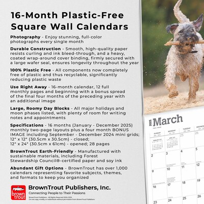 2025 BrownTrout Soft Coated Wheaten Terriers 12" x 12" Monthly Wall Calendar (9781975477981)