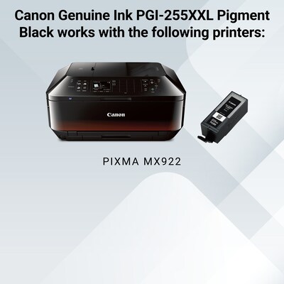 Canon 255XXL Black Extra High Yield Ink Cartridge (8050B001)