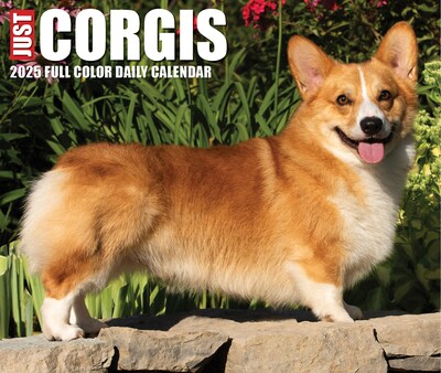 2025 Willow Creek Corgis (Dogs and Puppies) 6" x 5.5" Day-to-Day Calendar, Multicolor (40751)