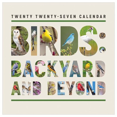 2027 TF Publishing Birds: Backyard and Beyond 12 x 12 Monthly Wall Calendar, Multicolored (27-1121)