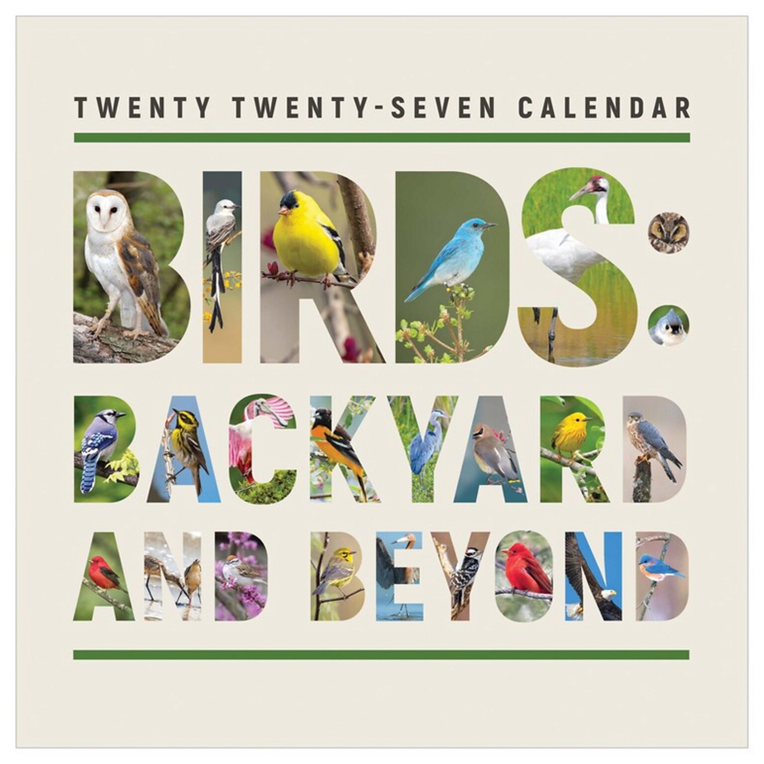 2027 TF Publishing Birds: Backyard and Beyond 12 x 12 Monthly Wall Calendar, Multicolored (27-1121)