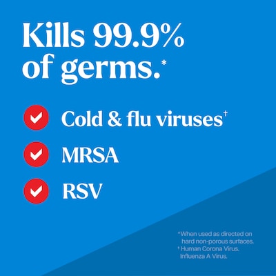 CloroxPro Clorox EcoClean Disinfecting Cleaner Spray Bottle, 32 fl. oz. (60213)