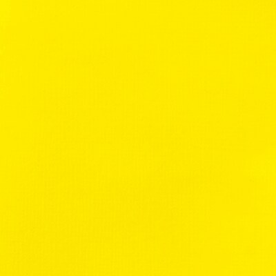 Liquitex BASICS Acrylic Paint Tube, Primary Yellow, 250 mL (LIQ4385410)
