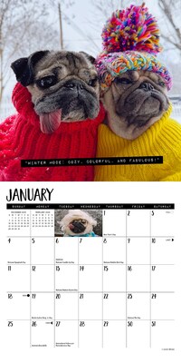 2026 Willow Creek Doug the Pug 7" x 7" Monthly Wall Calendar (53560)