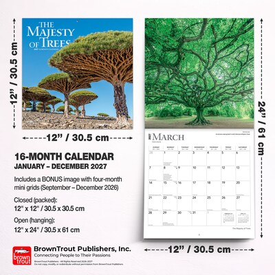 2027 BrownTrout The Majesty of Trees 12" x 12" Monthly Wall Calendar (9798330711574)