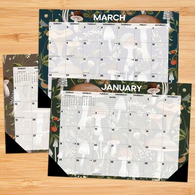 2026 Willow Creek Woodland Mushroom 17 x 12 Monthly Desk Pad Calendar (57186)