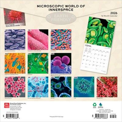 2026 BrownTrout Microscopic World of Innerspace 12 x 12 Monthly Wall Calendar (9798330703883)