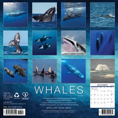 2026 Willow Creek Whales 12 x 12 Monthly Wall Calendar (53140)