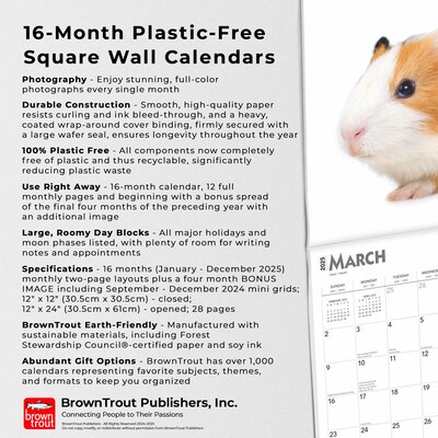 2025 BrownTrout Guinea Pigs 12" x 12" Monthly Wall Calendar (9781975477134)