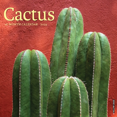 2025 Willow Creek Cactus 12 x 12 Monthly Wall Calendar (42076)