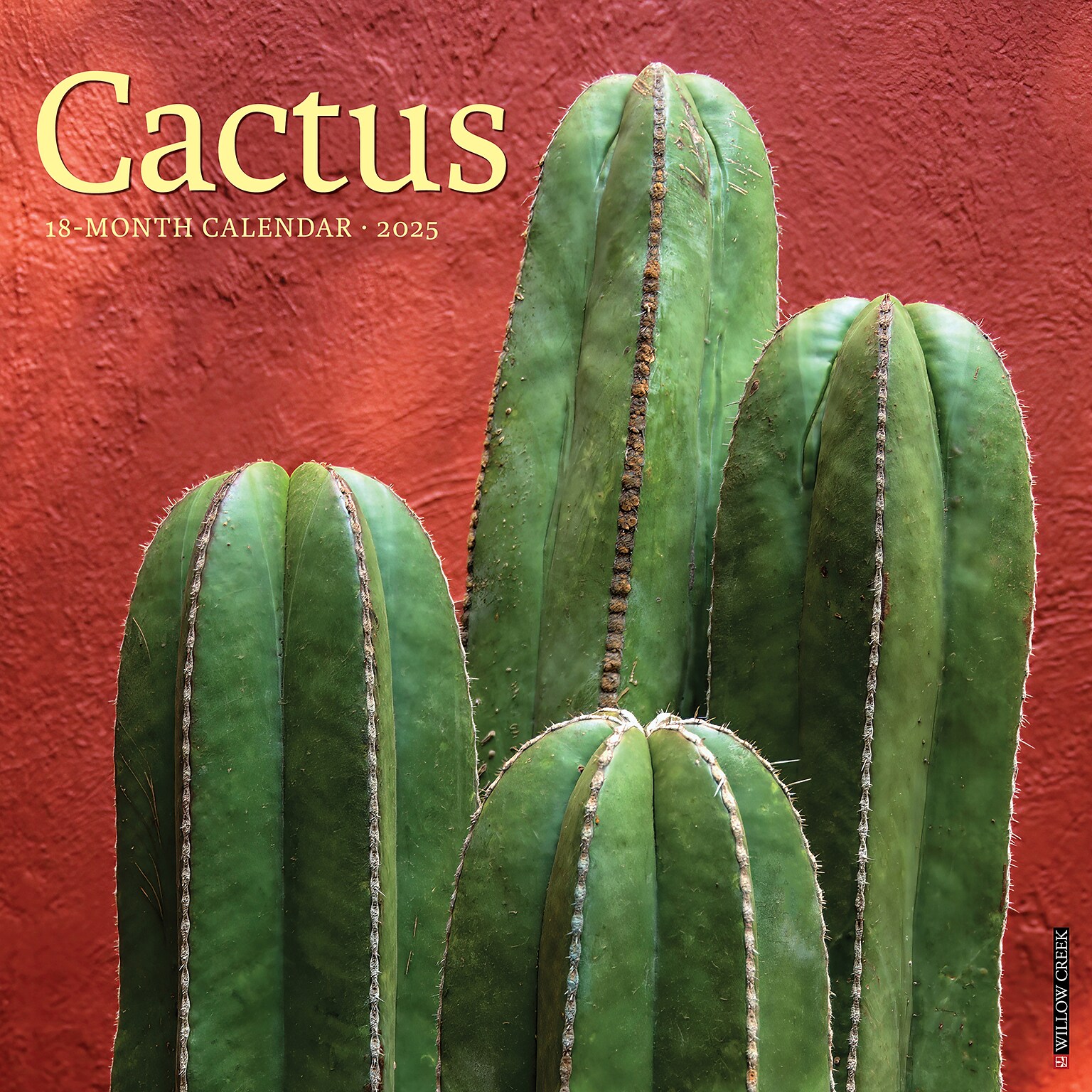 2025 Willow Creek Cactus 12 x 12 Monthly Wall Calendar (42076)