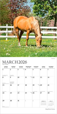 2026 Plato Magnificent Horses 12" x 12" Monthly Wall Calendar (9798330706846)