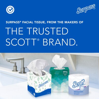 Surpass Standard Facial Tissue, 2-Ply, 100 Sheets/Box, 30 Boxes/Pack (21340)