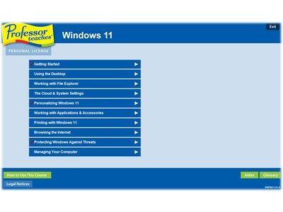 Individual Software Professor Teaches Windows 11 With Skill Assessment for 1 User, Windows, Download (IND945800V064)