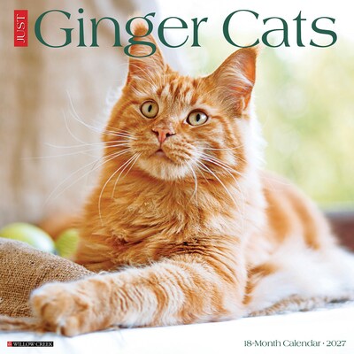 2027 Willow Creek Ginger Cats  12 x 12 Monthly Wall Calendar (60414)