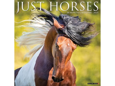 2025 Willow Creek Horses 12 x 12 Monthly Wall Calendar (43387)