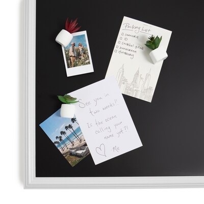 U Brands Mini Fashion Small Magnet Set, Green Succulents, 12/Pack (4943U06-24)