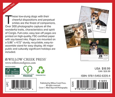 2027 Willow Creek Corgis 6.2 x 5.4 Daily Day-to-Day Calendar, Assorted Colors (63354)