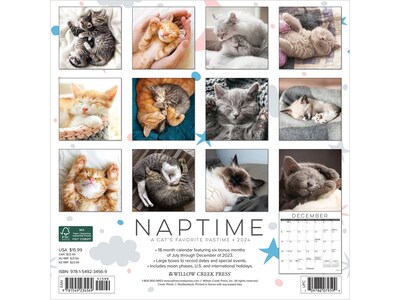 2024 Willow Creek Naptime (Cats) 12 x 12 Monthly Wall Calendar (34569)
