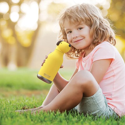 ASOBU Bestie Bottle Dog Vacuum Insulated Stainless Steel Water Bottle with Reusable Flexi Straw, 16 oz., Yellow (SBV44DO)