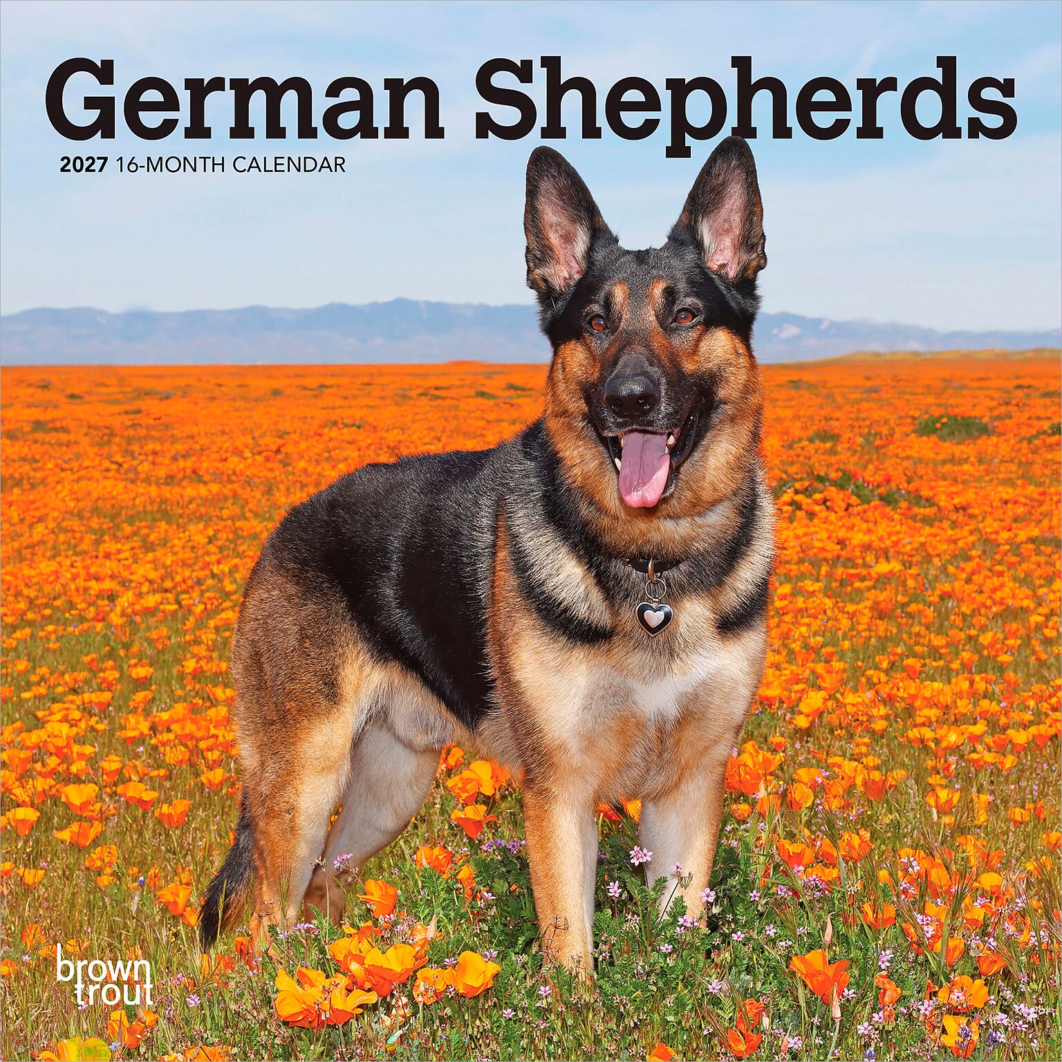2027 BrownTrout German Shepherds 7 x 7 Monthly Wall Calendar, Assorted Colors (9798330710003)