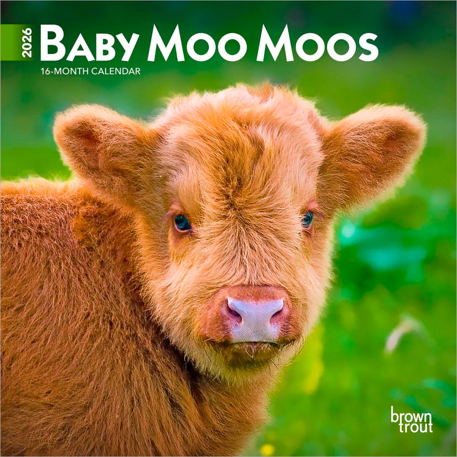 2026 BrownTrout Baby Moo Moos 7 x 7 Monthly Wall Calendar (9798330702275)