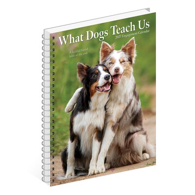 2027 Willow Creek What Dogs Teach Us 6.5" x 8.5" Weekly & Monthly Desk Calendar (64450)
