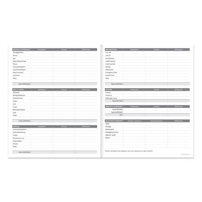 TF Publishing Money Planner 9" x 11" Undated Planner, Paperboard Cover, Multicolored (99-4725)