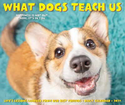 2027 Willow Creek What Dogs Teach Us 5.4" x 6.2" Day-to-Day Calendar (63835)
