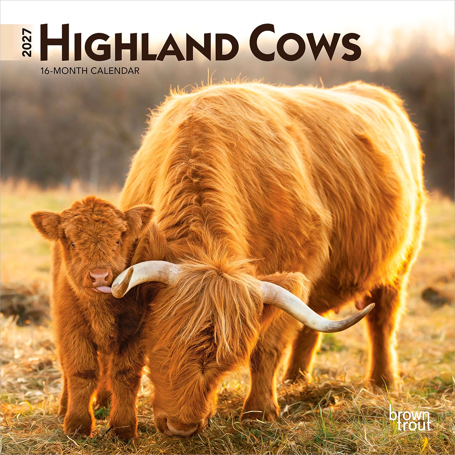 2027 BrownTrout Highland Cows 7 x 7 Monthly Wall Calendar (9798330714247)