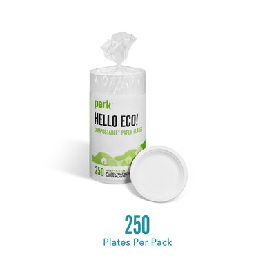 Perk™ Eco Compostable Paper Plates, 6, White, 250/Pack (PK61286)
