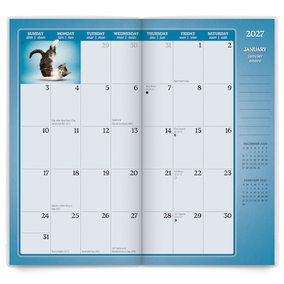 2027-2028 BrownTrout Yoga Kittens 3.5" x 6.5" Monthly Planner (9798330713547)
