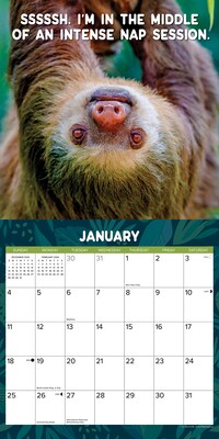 2026 Willow Creek Sloth Mode 12" x 12" Monthly Wall Calendar (52822)