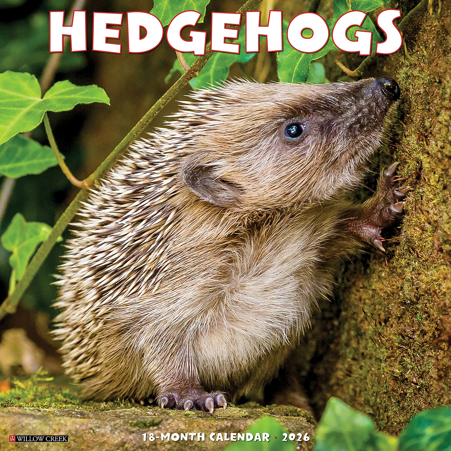 2026 Willow Creek Hedgehogs 12 x 12 Monthly Wall Calendar (51467)