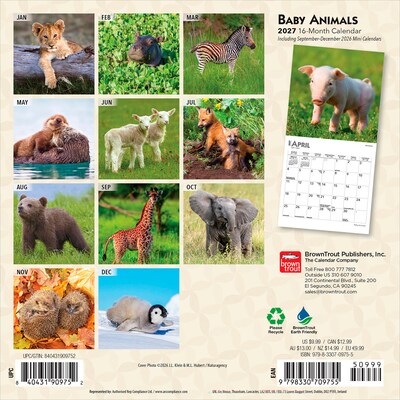 2027 BrownTrout Baby Animals 7 x 7 Monthly Wall Calendar, Assorted Colors (9798330709755)