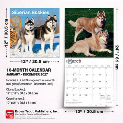 2027 BrownTrout Siberian Huskies 12" x 12" Monthly Wall Calendar (9798330712694)