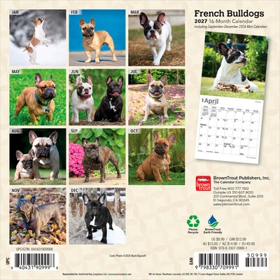 2027 BrownTrout French Bulldogs 7 x 7 Monthly Wall Calendar, Assorted Colors (9798330709991)