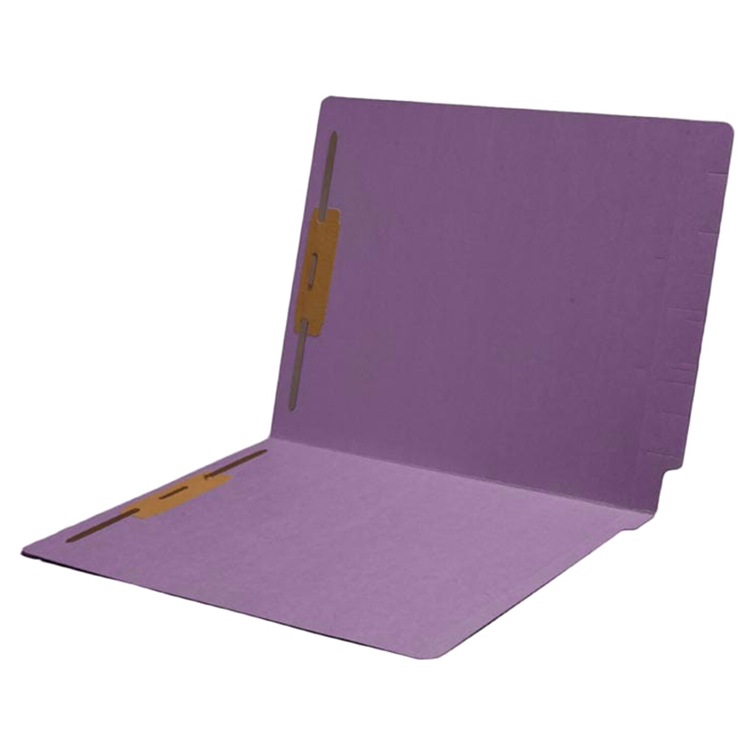 Medical Arts Press End Tab File Folder, Letter-Size, Lavender, 50/Box (S-09243-LAV)